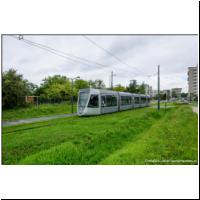 2025-07-30 T Leon Blum 116.jpg